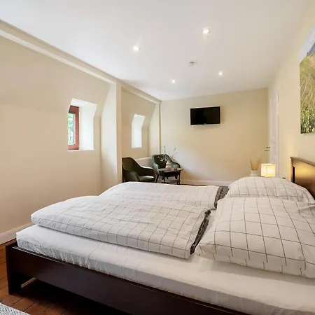 Apartment Alte Stadtvilla Weinberg 6 Traben-Trarbach