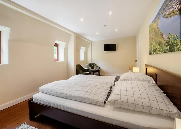 Appartement Alte Stadtvilla Weinberg 6 Traben-Trarbach